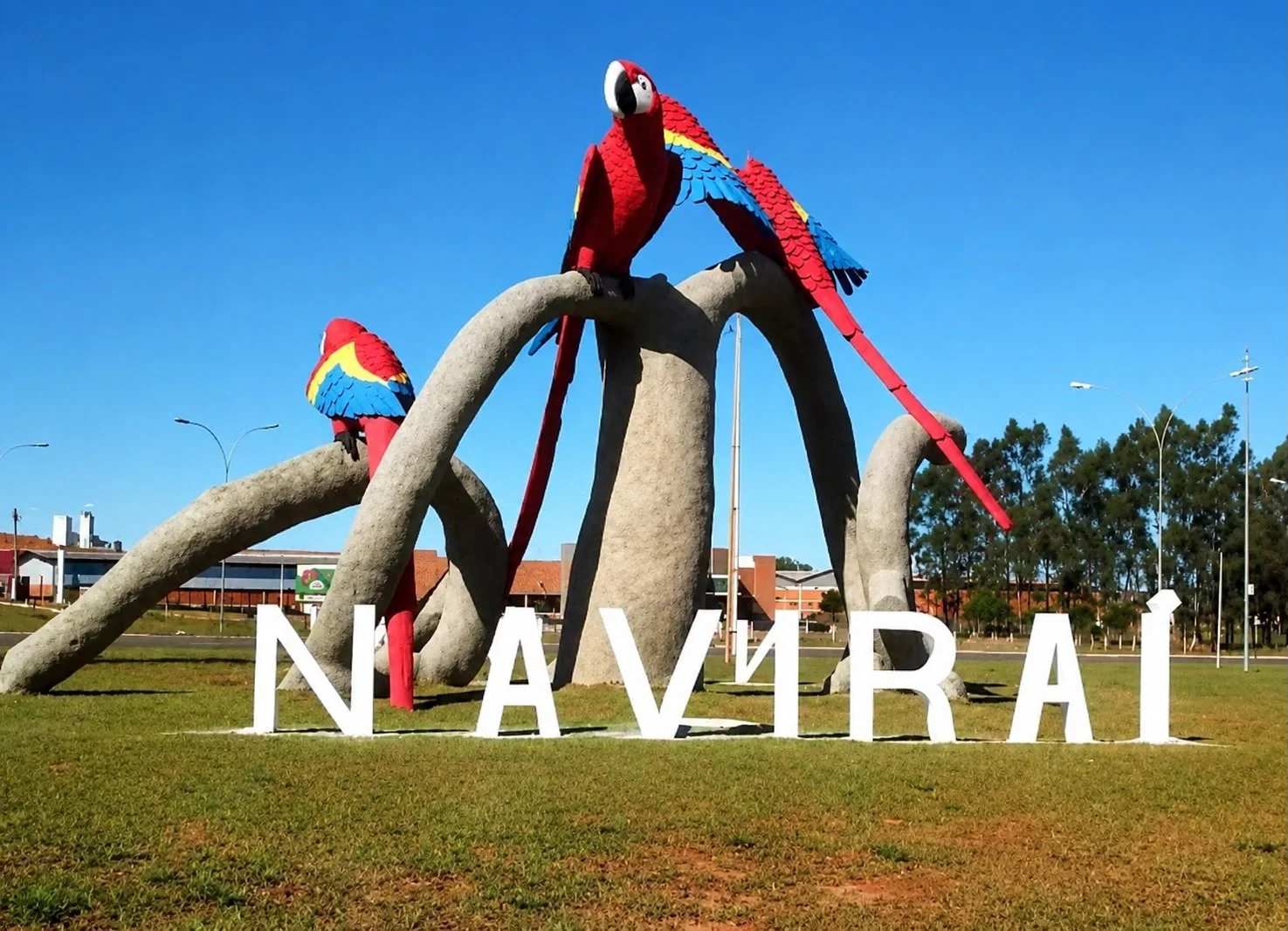 Trevo das Araras